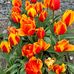 Doris Granger - Facebook