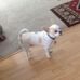 Doris Gross - Facebook