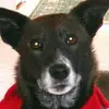 dorisreitzgross - @dorisreitzgross - TikTok