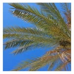 Doris Grove - @barlayhech - Instagram