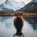 Doris Gruber - @doris_gruber_ - Instagram