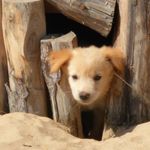 Doris Gruber - @dorisgruber6 - Instagram