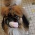 Doris Gruber - Facebook