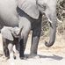 Doris Gruber - Facebook