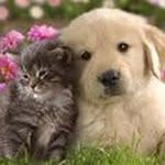Doris Gu - @doris.gunnarsson - Instagram