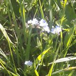 Doris Haag - @doris.haag.77 - Instagram