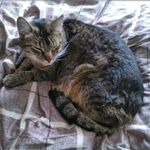 Doris Haas - @doris.haas.14 - Instagram