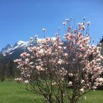 Doris Haas - @doris.haas79 - Instagram