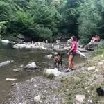 Doris Haas - @dorisxyhaas - Instagram