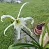 Doris Haas - @doris.haas4 - TikTok