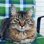Dorle69 - @dorishaas306 - Instagram