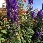 Doris Hager - @sammy_doris_63 - Instagram