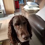 Doris Hammer - Facebook