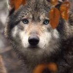 Doris Hammer - @doris.hammer - Instagram