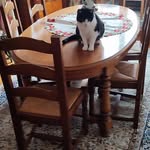 Doris Hammer - @postay_finance - Instagram
