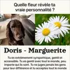 dorishammer892 - @dorishammer892 - TikTok
