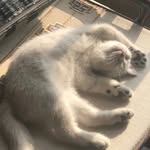 Doris Hammond - @s170952863 - Instagram