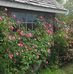 Doris Hare - Facebook