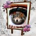 Doris Hammer - Facebook