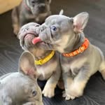 Doris Harrison - @ozzy_osbourne07 - Instagram