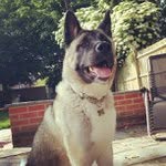 Doris Harter - @tenellecsys - Instagram