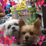 Doris Harvey - @doris.harvey.393 - Instagram