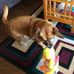 Doris Hatcher - Facebook