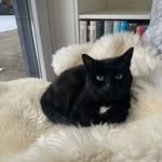 Doris Hauser-Graf - @hausergraf - Instagram