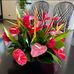 Doris Haygood Boyer - Facebook