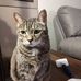 Doris Hendrickson - Facebook