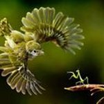Doris Hensley - @hensleydoris - Instagram