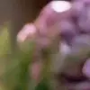 dorisherman71 - @dorisherman71 - TikTok