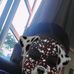 Doris Hernandez - Facebook