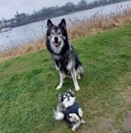 Doris Herold - Facebook