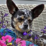 Doris Hicks - @hicksdoris - Instagram