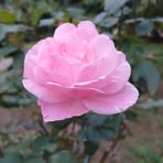 Doris Hicks - Facebook