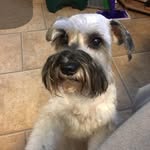 Doris Hobson - @dorishobson - Instagram