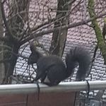 Doris Hoffmann - @doris.hoffmann.5245 - Instagram