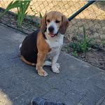 Doris Hoffmann - @hoffmann6635 - Instagram