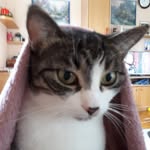Doris Hoffmann - @die_lucy_h - Instagram