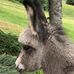 Doris Hoffmann - Facebook