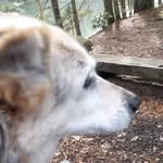 Doris Hoffmann - @hoffmann7843 - Instagram