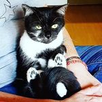 Doris Hoffmann - @doris.hoffmann.148 - Instagram