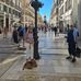 Doris Hoffmann - Facebook