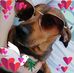 Doris Holtkamp - Facebook