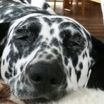 Doris Holtkamp - @doris.holtkamp.8 - Instagram