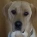 Doris Hooks - Facebook