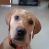 dorishooks525 - @dorishooks525 - TikTok