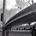 Doris Hooper - @palodekuruuo - Instagram