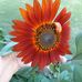 Doris Hopper - Facebook